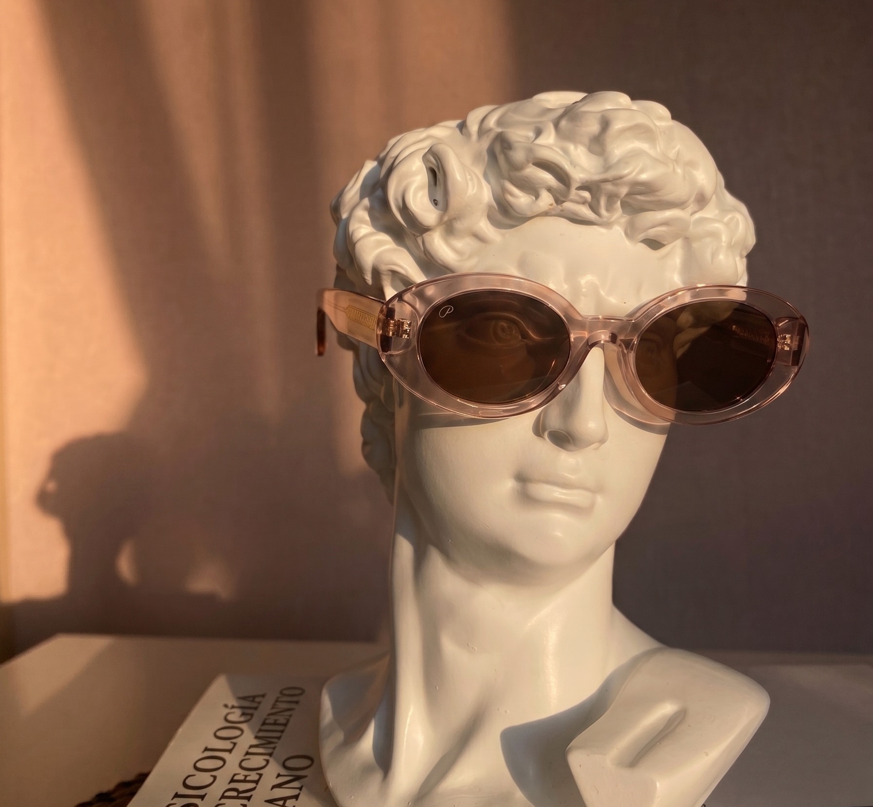 Panisse Boutique — busto clásico con montura oval transparente